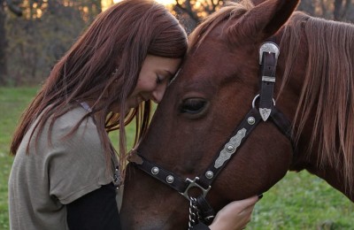 Love is in the air – relate genuinely to horse lovers